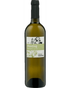 Riesling Martigny 2023 - GrapeFactory GmbH
