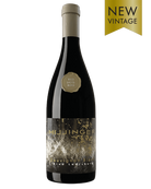 Weißwein Sauvignon Blanc Ried Ladisberg 2020 von Leo Hillinger, hellgelber Wein in einem Weinglas, frischer und aromatischer Geschmack